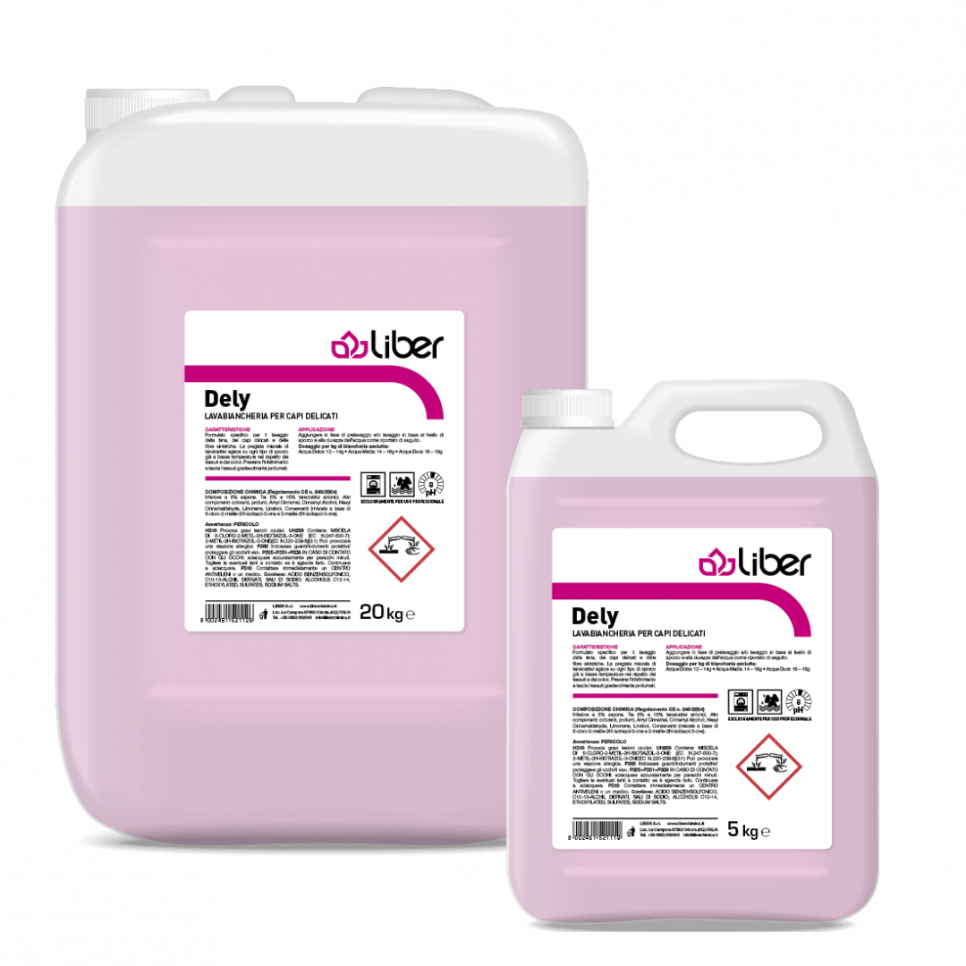Detergent Dely 5L