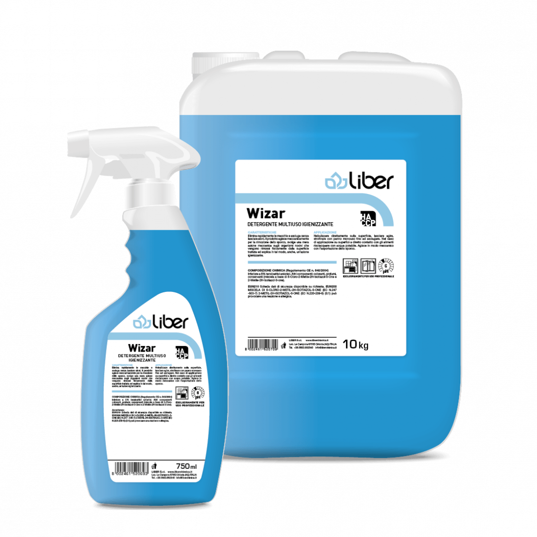 Detergent igienizant Wizar 10L